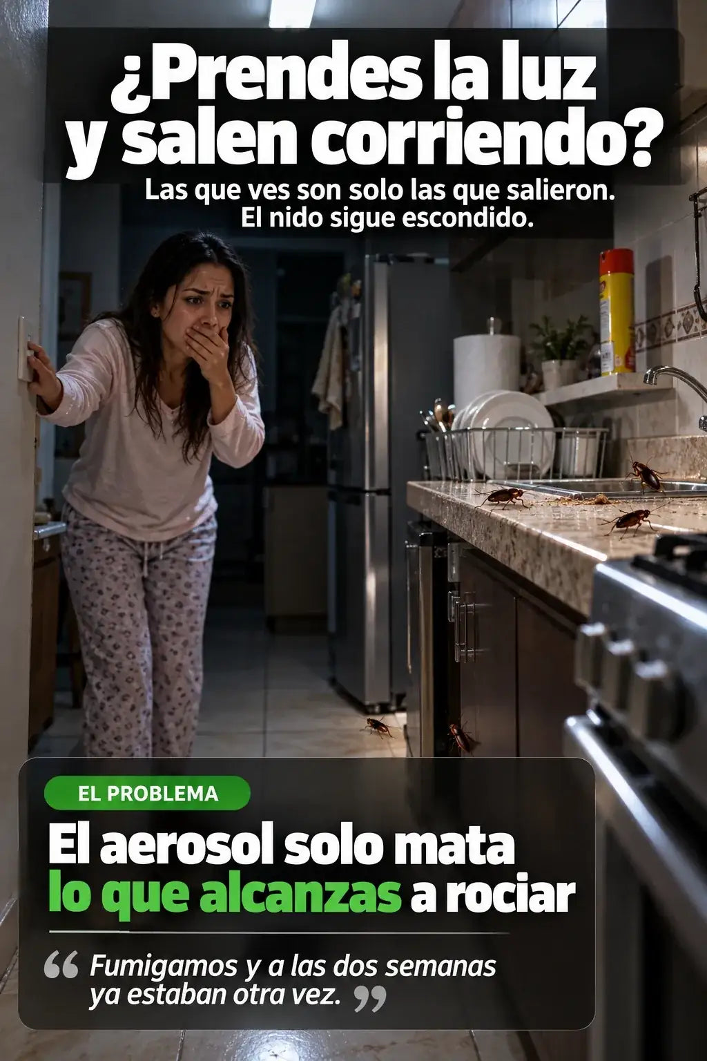 Prendes la luz y salen corriendo: el aerosol solo mata lo que alcanzas a rociar