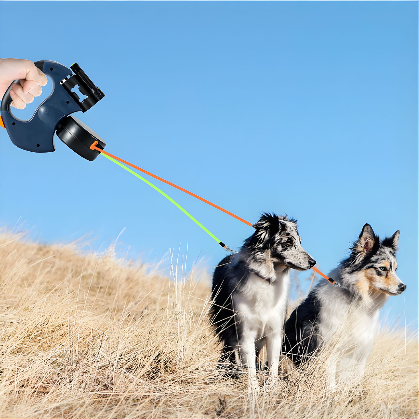 PawControl®-Más control, menos enredos.