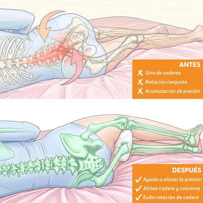 OrthoDream®-Despierta renovado, duerme con el soporte que tu cuerpo necesita.